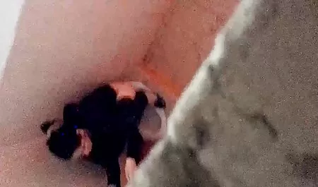 Penthouse pornovideos kostenlos anschauen