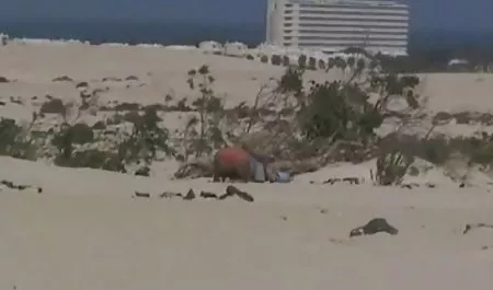 College-Regeln - diese Mädchen überprüfen ihre Jungs, um zu sehen, pornovideos gratis ob sie wahr sind