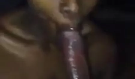 Die beste 1 Minute für jeden kleinen Bruder des Lebens suche pornovideos !!