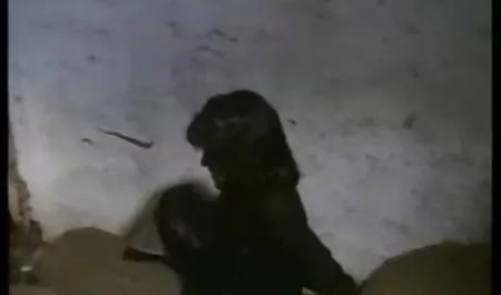 Massageräume Teen Babe wird pornovideos kostenlos ohne anmeldung hart gefickt