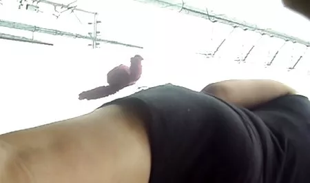 SHG-122 deutsche pornovideos