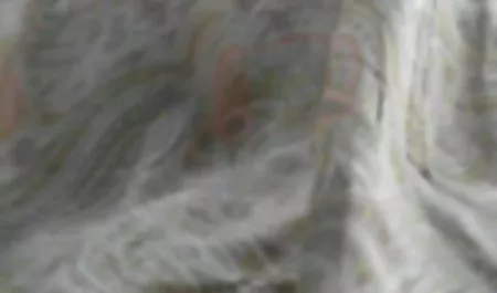 Omg ist nicht schwanger ??? !! - pornovideos free Amateurzusammenstellung 2 !!!